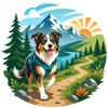 Hunde Outdoor